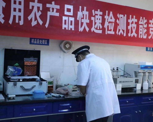 区市场局举办食用农产品快速检测技能竞赛 以赛促练提升检验实战能力