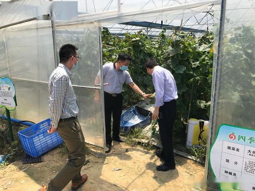 我市大力推进试行食用农产品合格证制度，筑牢食品安全防线