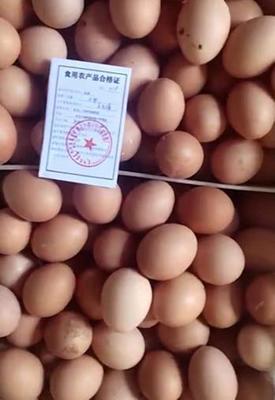 科左中旗发出首张食用农产品合格证，农产品质量安全管理迈入新阶段