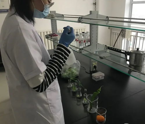 今日四大批发农贸市场农产品检测结果公布 36批次受检样品整体合格