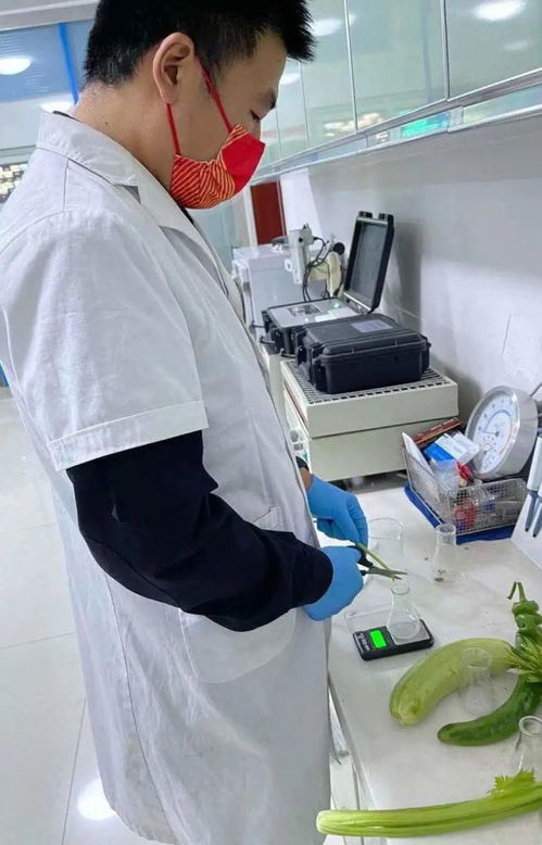 聚焦食品安全 今日38批次食用农产品抽检结果解读与消费者指南